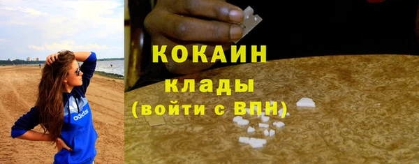 стаф Новозыбков