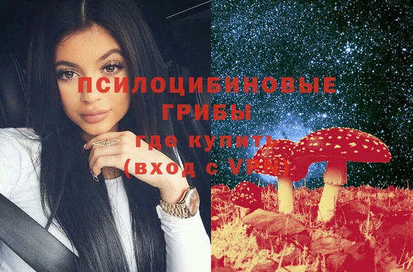 ГАЛЛЮЦИНОГЕННЫЕ ГРИБЫ Балахна