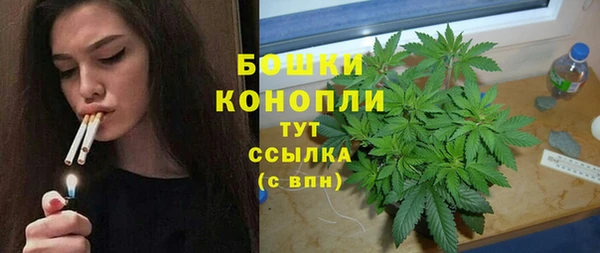 ГАЛЛЮЦИНОГЕННЫЕ ГРИБЫ Балахна