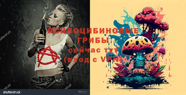 ГАЛЛЮЦИНОГЕННЫЕ ГРИБЫ Балахна