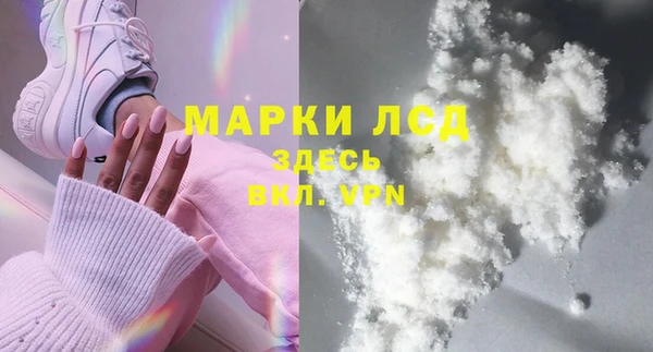 стаф Новозыбков